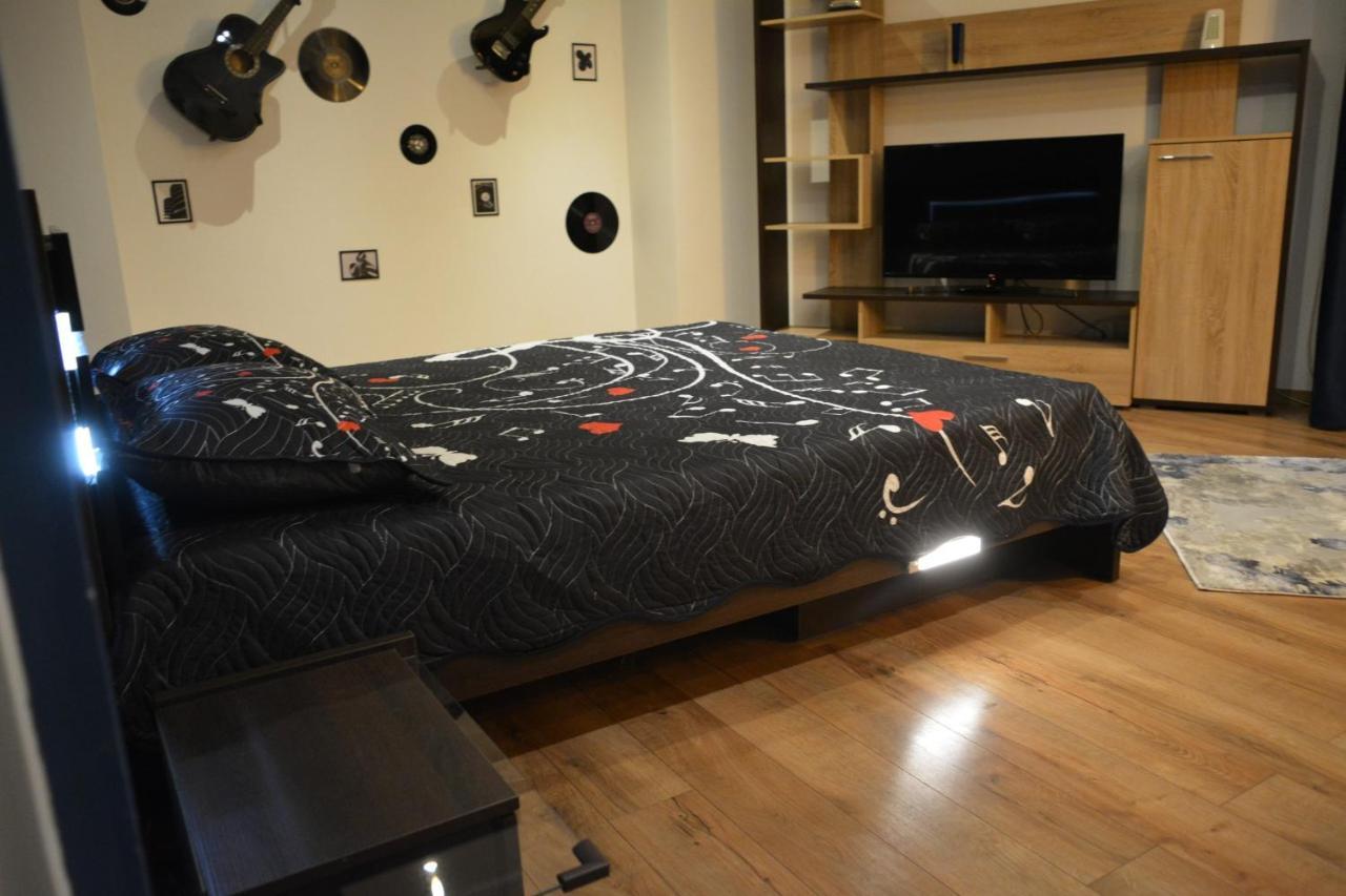 M@D Music Apartment Timisoara Luaran gambar